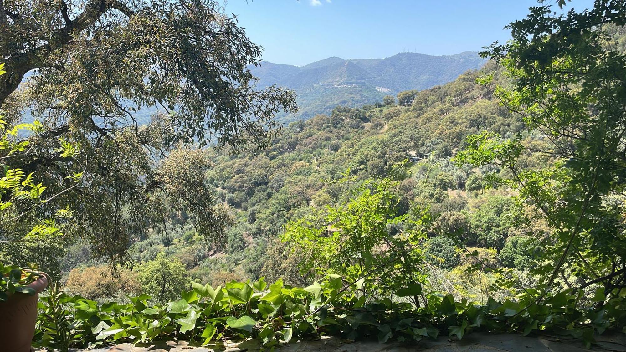 Holiday home Ematejo Genalguacil